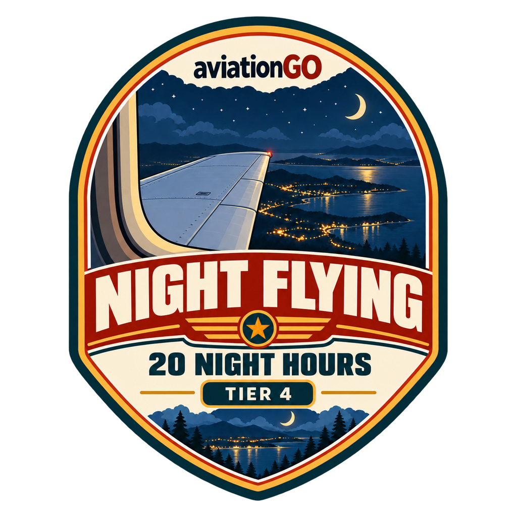 Night Flying — 20 Hours badge
